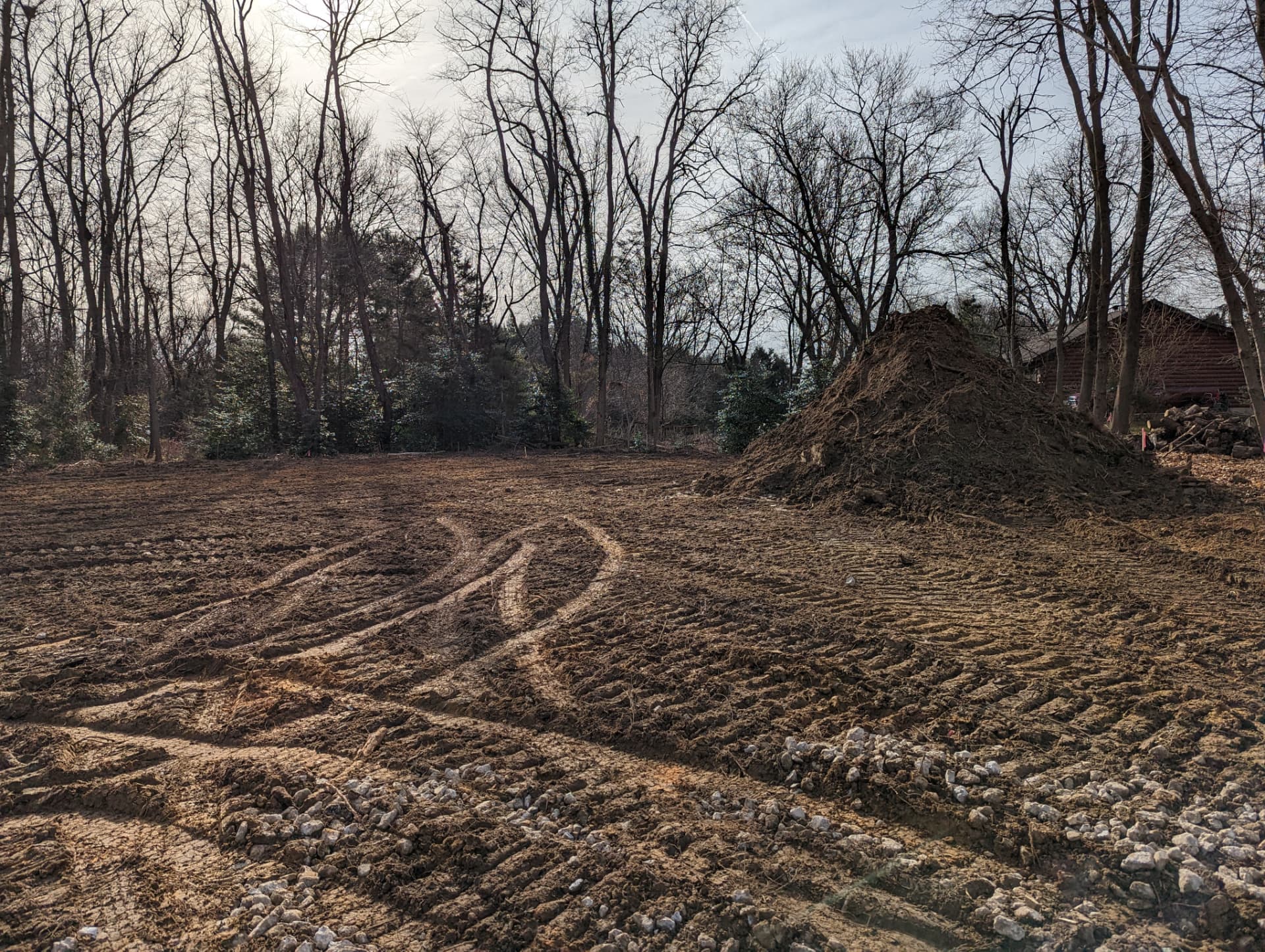 Graded lot with pile of pulled stumps and roots