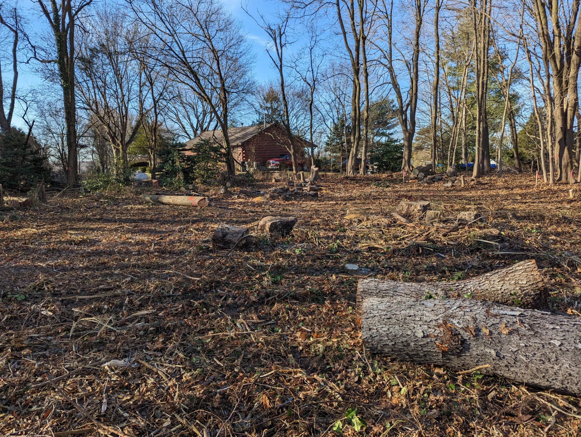 Cut logs on the lot with the neighboring log home untouched behind